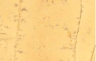 amarillo triana