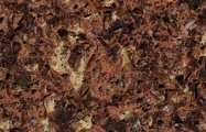 mahogany