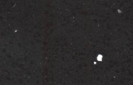 negro stellar
